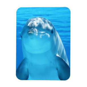 Magnet Flexible Animal marin de dauphin mignon en mer bleue