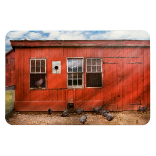Magnet Flexible Animal - Oiseau - Observation des oiseaux