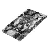 Magnet Flexible AnimalArtBW_RedPanda_003 (Côté Gauche)
