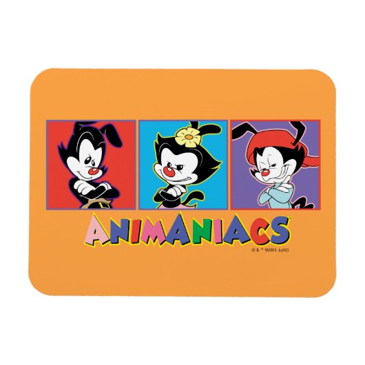 Magnet Flexible Animaniacs | Graphique de panneau Yakko, Dot et Wa (Horizontal)