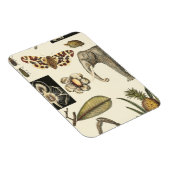 Magnet Flexible Animaux agressés peints sur Arrière - plan de crèm (Côté Droit)