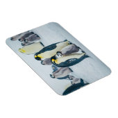 Magnet Flexible Animaux de bébés cutest | Alimentation de pingouin (Côté Droit)