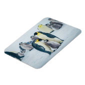 Magnet Flexible Animaux de bébés cutest | Alimentation de pingouin (Côté Gauche)