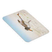 Magnet Flexible Animaux de bébés cutest | American Oystercatcher C (Côté Droit)