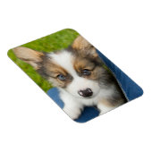 Magnet Flexible Animaux de bébés cutest | Baby Corgi dans mon geno (Côté Droit)