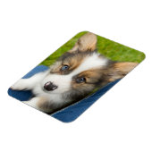 Magnet Flexible Animaux de bébés cutest | Baby Corgi dans mon geno (Côté Gauche)