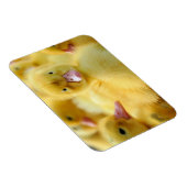 Magnet Flexible Animaux de bébés cutest | Baby Duck Group (Côté Droit)