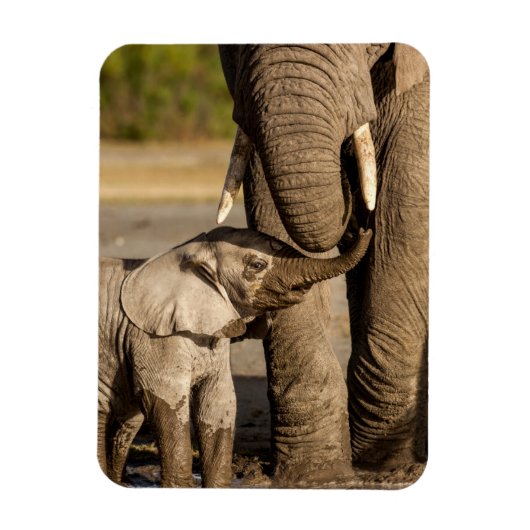 Magnet Flexible Animaux de bébés cutest | Baby Elephant & Mama (Vertical)