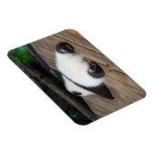 Magnet Flexible Animaux de bébés cutest | Bébé Géant Panda Dormir (Côté Droit)