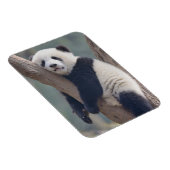 Magnet Flexible Animaux de bébés cutest | Bébé Panda Ours Dormir (Côté Droit)