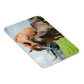 Magnet Flexible Animaux de bébés cutest | Black Foy avec maman (Côté Droit)