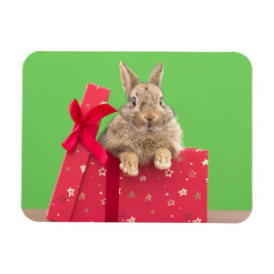 Magnet Flexible Animaux de bébés cutest   Bunny vacances de Noël