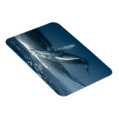 Magnet Flexible Animaux de bébés cutest | Calf de baleine à bosse (Côté Droit)