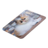 Magnet Flexible Animaux de bébés cutest | Calico Persian Kitten (Côté Gauche)