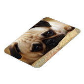 Magnet Flexible Animaux de bébés cutest | Carlin bébé chiot (Côté Gauche)