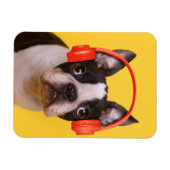 Magnet Flexible Animaux de bébés cutest | Casques Terrier de Bosto (Horizontal)