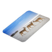 Magnet Flexible Animaux de bébés cutest | Cerfs sur la plage (Côté Gauche)