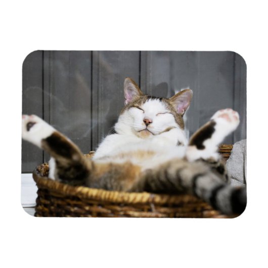 Magnet Flexible Animaux de bébés cutest | Chat dans le lit (Horizontal)