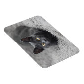 Magnet Flexible Animaux de bébés cutest | Chat gris (Côté Droit)