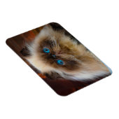 Magnet Flexible Animaux de bébés cutest | Chat himalayen (Côté Droit)