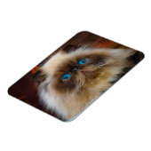 Magnet Flexible Animaux de bébés cutest | Chat himalayen (Côté Gauche)