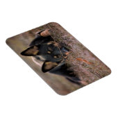 Magnet Flexible Animaux de bébés cutest | Chiot berger allemand (Côté Droit)