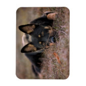 Magnet Flexible Animaux de bébés cutest | Chiot berger allemand (Vertical)