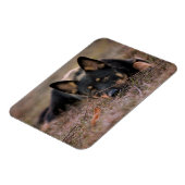 Magnet Flexible Animaux de bébés cutest | Chiot berger allemand (Côté Gauche)