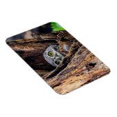 Magnet Flexible Animaux de bébés cutest | Chouette tachetée (Côté Droit)