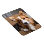 Magnet Flexible Animaux de bébés cutest | Coiffeuse à cheveux long (Côté Droit)