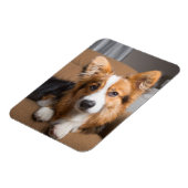 Magnet Flexible Animaux de bébés cutest | Coiffeuse à cheveux long (Côté Gauche)