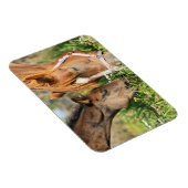 Magnet Flexible Animaux de bébés cutest | Colt à cheval (Côté Droit)