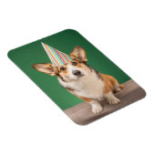Magnet Flexible Animaux de bébés cutest | Corgi Anniversaire Chiot (Côté Droit)