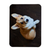 Magnet Flexible Animaux de bébés cutest | Corgi levant les yeux (Vertical)