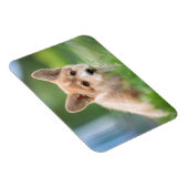 Magnet Flexible Animaux de bébés cutest | Corgi Puppy dans le tria (Côté Droit)