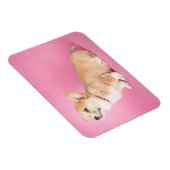 Magnet Flexible Animaux de bébés cutest | Corgi rose Chiot (Côté Droit)