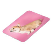 Magnet Flexible Animaux de bébés cutest | Corgi rose Chiot (Côté Gauche)
