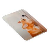 Magnet Flexible Animaux de bébés cutest | Corgi Sleeping (Côté Droit)