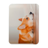 Magnet Flexible Animaux de bébés cutest | Corgi Sleeping (Vertical)