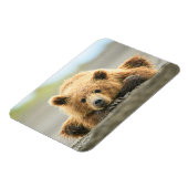 Magnet Flexible Animaux de bébés cutest | Cub d'ours Brown côtier (Côté Gauche)