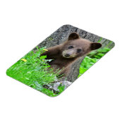 Magnet Flexible Animaux de bébés cutest | Cube d'ours Brown (Côté Gauche)