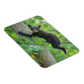 Magnet Flexible Animaux de bébés cutest | Cube d'ours noir (Côté Droit)