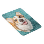Magnet Flexible Animaux de bébés cutest | Cute Corgi Puppy Smile (Côté Droit)