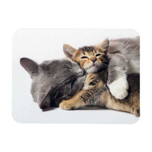 Magnet Flexible Animaux de bébés cutest | Cute Kitten Hug (Horizontal)