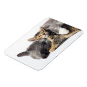 Magnet Flexible Animaux de bébés cutest | Cute Kitten Hug (Côté Gauche)