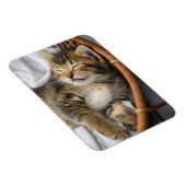Magnet Flexible Animaux de bébés cutest | Cute Tabby Chat Dormir (Côté Droit)