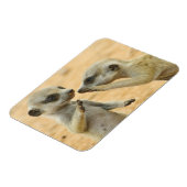 Magnet Flexible Animaux de bébés cutest | Deux jeunes Meerkats (Côté Gauche)