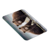 Magnet Flexible Animaux de bébés cutest | Deux petits ours d'ours (Côté Droit)