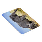 Magnet Flexible Animaux de bébés cutest | Eléphant africain et mèr (Côté Droit)