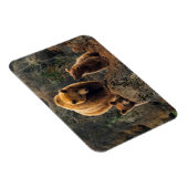 Magnet Flexible Animaux de bébés cutest | Famille d'ours Brown (Côté Droit)